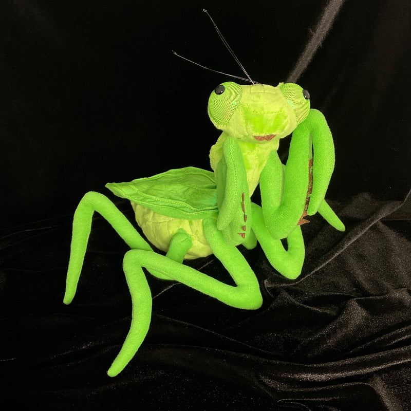 Lifelike Chinese Mantis Plush Toy
