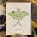 Seed Paper Greeting Card - Curious Nature