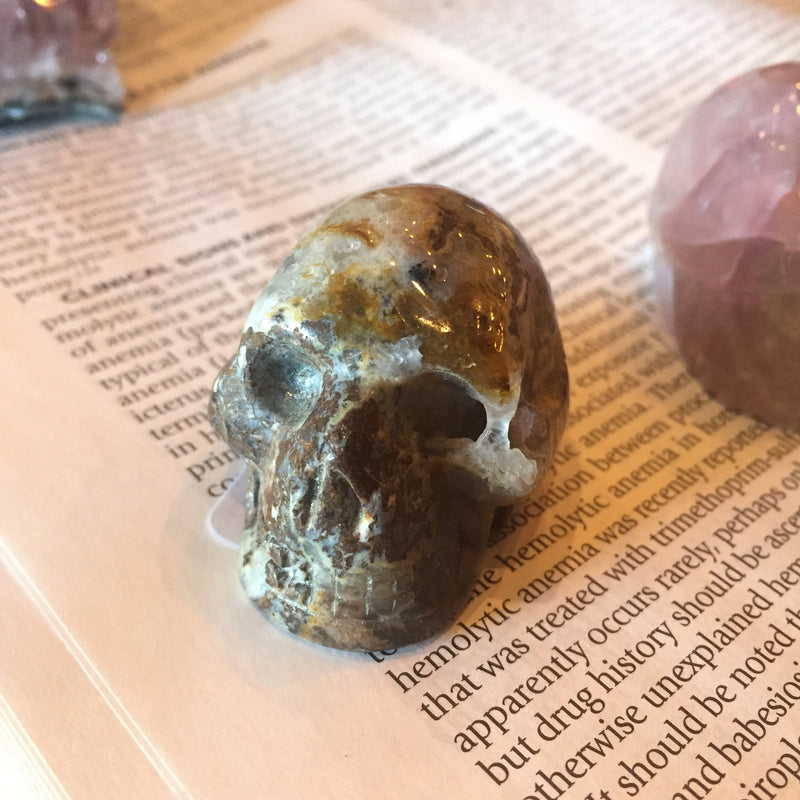 Stone Skull