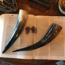 Water Buffalo Horn