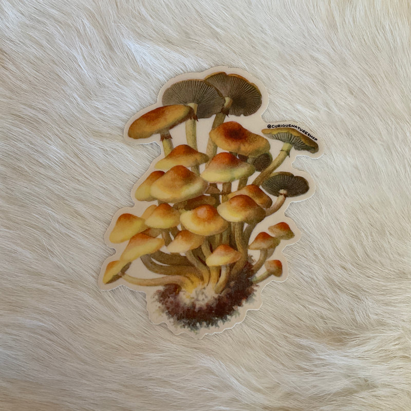 Mushroom Cluster Sticker