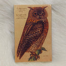 Mini Owl Matchboxes