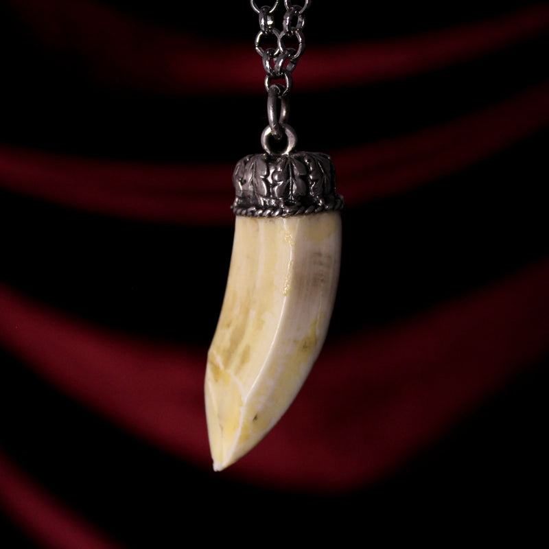 Bone Pendant Natural Tooth Boar'S Tusk Necklace of Hyperbole Style :  Clothing, Shoes & Jewelry - Amazon.com