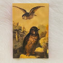 Mini Owl Matchboxes