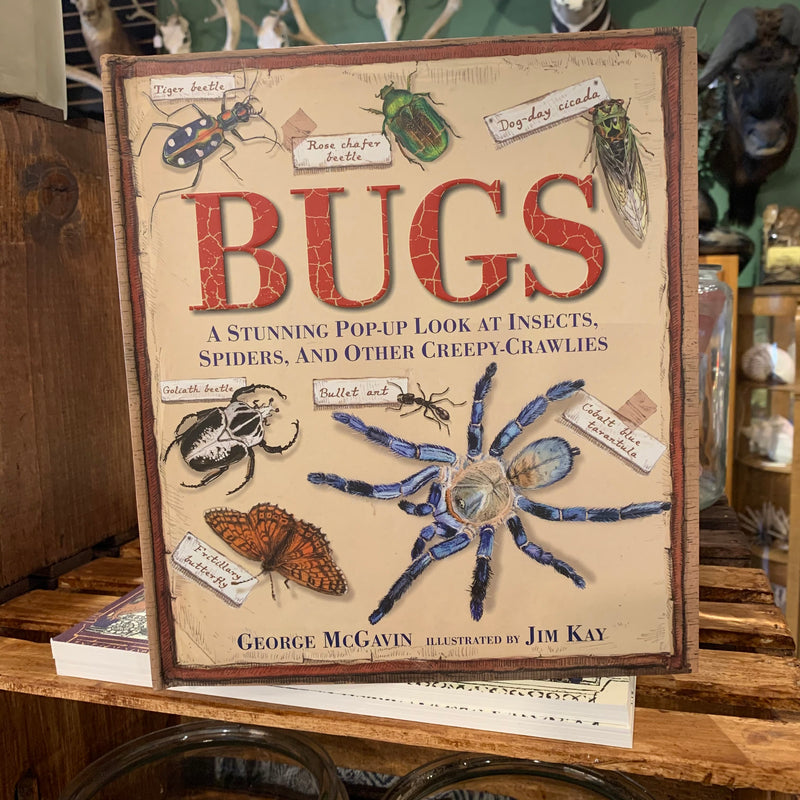 Bugs by George McGavin