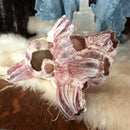 Purple Barnacle Clusters - Curious Nature