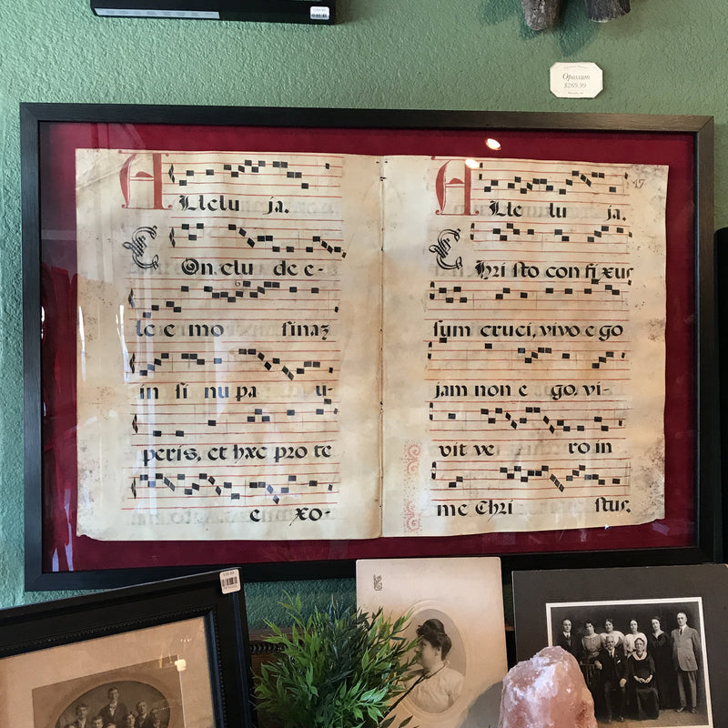 Framed Antique Spanish Choir Music Book Page - Curious Nature