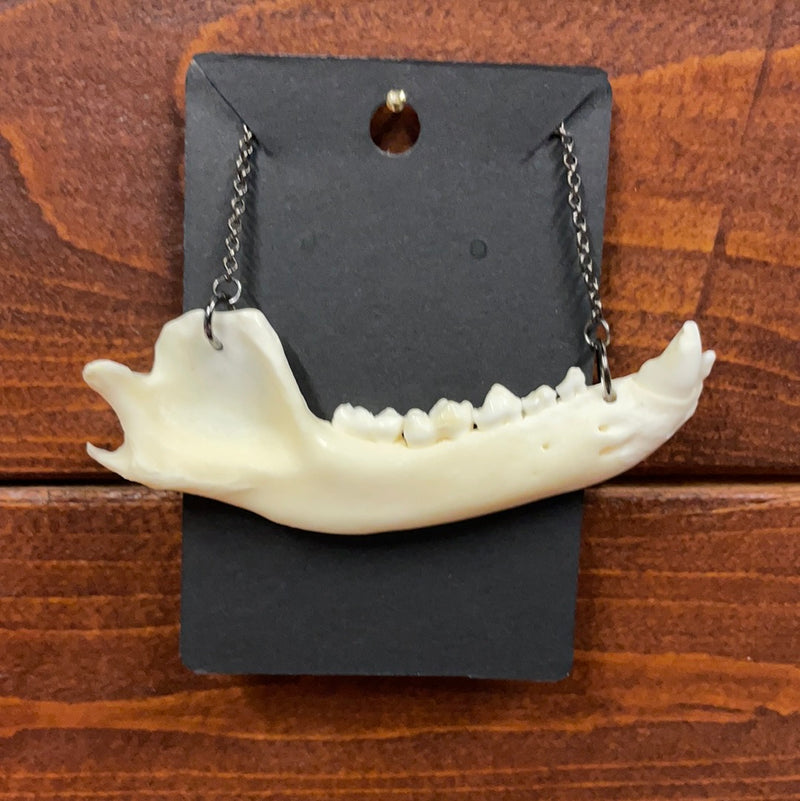 Raccoon Jaw Necklace