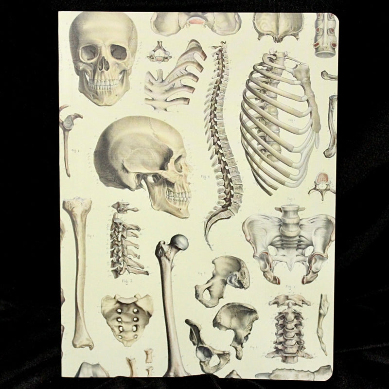 Skeleton Softcover Lined Notebook