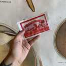 Fortune Teller Miracle Fish - Curious Nature