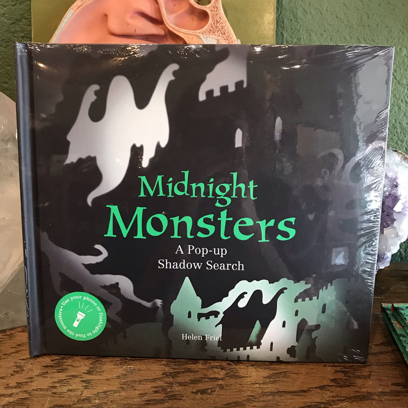 Midnight Monsters: A Pop-Up Shadow Search  by Helen Friel - Curious Nature