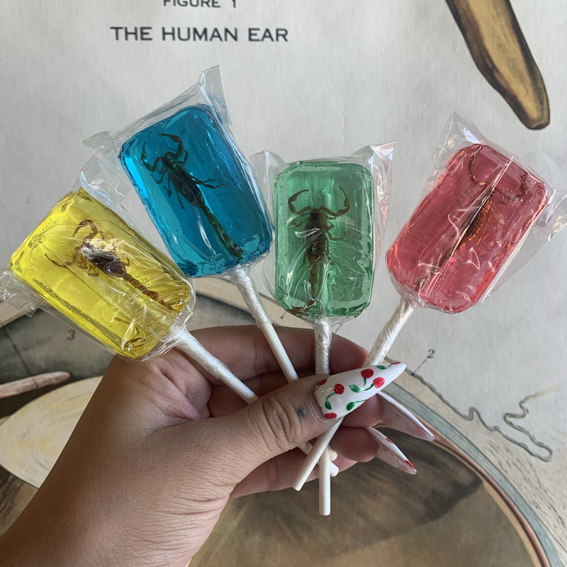Scorpion Lollipops - Curious Nature