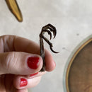 Starling Feet - Curious Nature