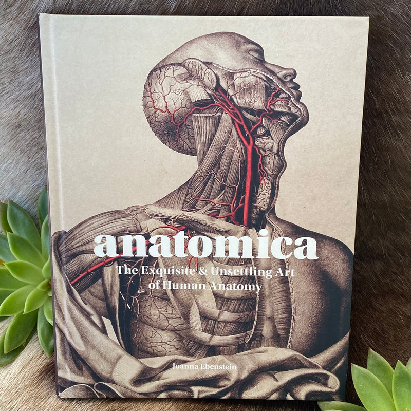 Anatomica: The Exquisite and Unsettling Art of Human Anatomy by Joanna Ebenstein