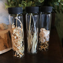 Curio Vials - Curious Nature