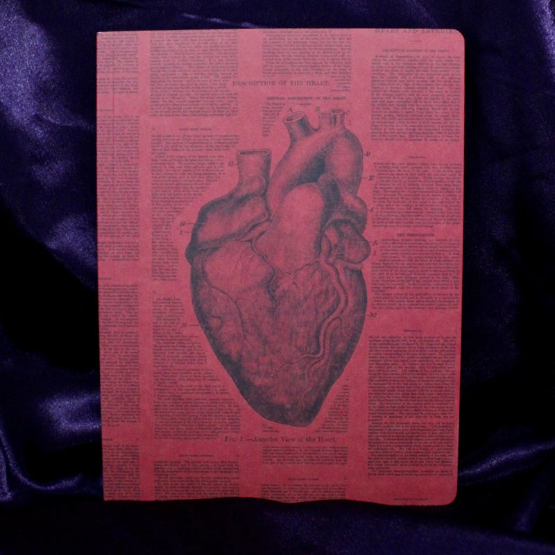 Anatomical Heart Softcover Lined Notebook