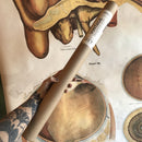 Vertical Vintage Poster Kit - Curious Nature