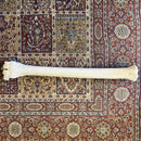 30” Giraffe Metatarsal Leg Bone - Curious Nature