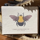 Seed Paper Greeting Card - Curious Nature