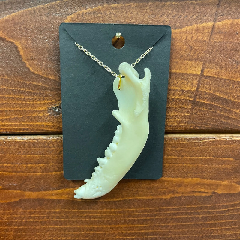 Raccoon Jaw Necklace