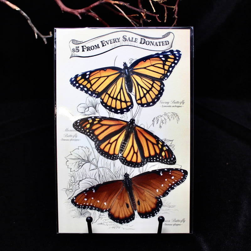 Paper Pollinator Monarch Butterfly Set