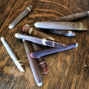 Urchin Spines - Curious Nature