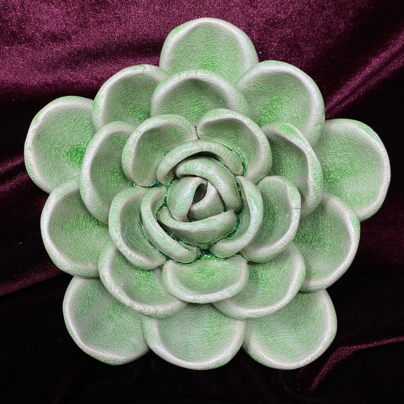 Ceramic Succulent