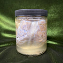 Sheep Brain Wet Specimen