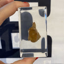 Snail Paperweight - Curious Nature