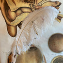 Ostrich Feather - Curious Nature