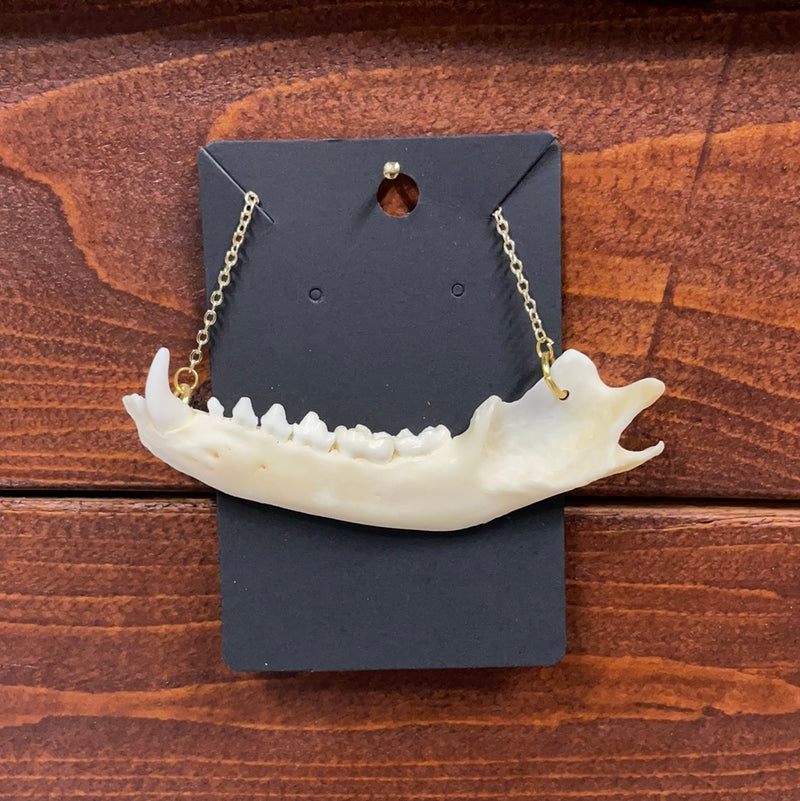 Raccoon Jaw Necklace