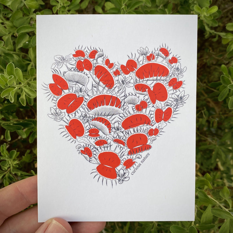 Venus Flytrap Heart Greeting Card - Curious Nature