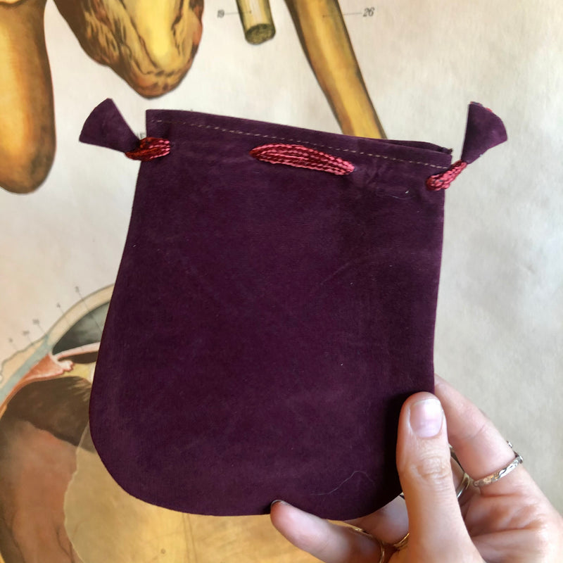 Medium Velvet Bag