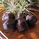 Garnet - Curious Nature