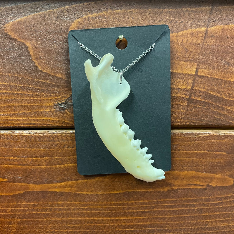 Raccoon Jaw Necklace