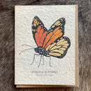 Seed Paper Greeting Card - Curious Nature