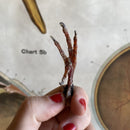 Pigeon Feet - Curious Nature