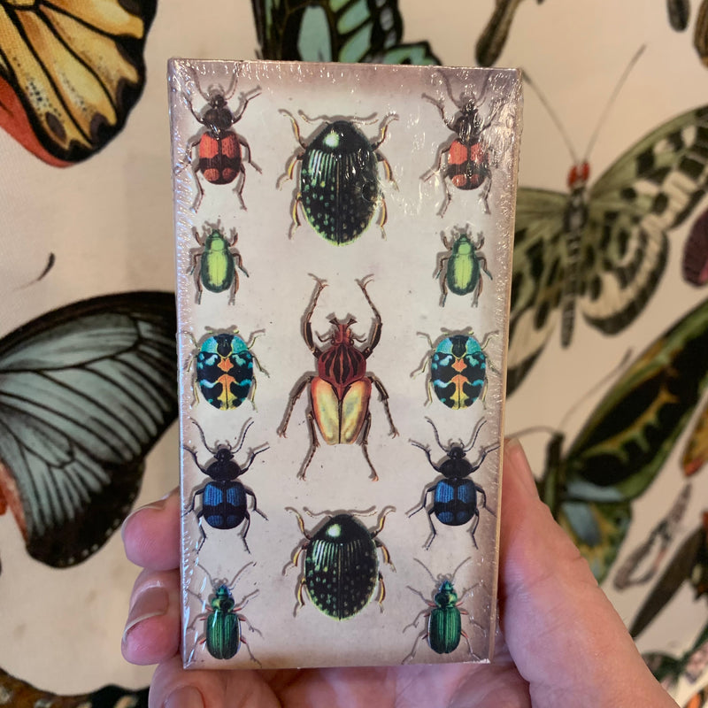 Insect Matchbox