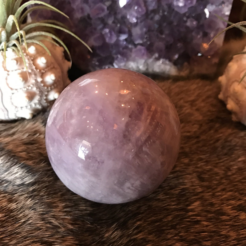 Amethyst Sphere - Curious Nature