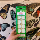 Tea Light Candles Pack of 12