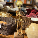 Human Fetal Skeleton Model