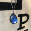 Morpho Melanus Teardrop Necklace - Curious Nature