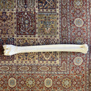 30” Giraffe Metatarsal Leg Bone - Curious Nature