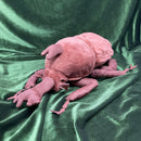 Lifelike Rhinoceros Beetle Plush Toy