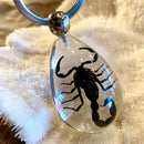 Black Scorpion Tear Drop Keychain